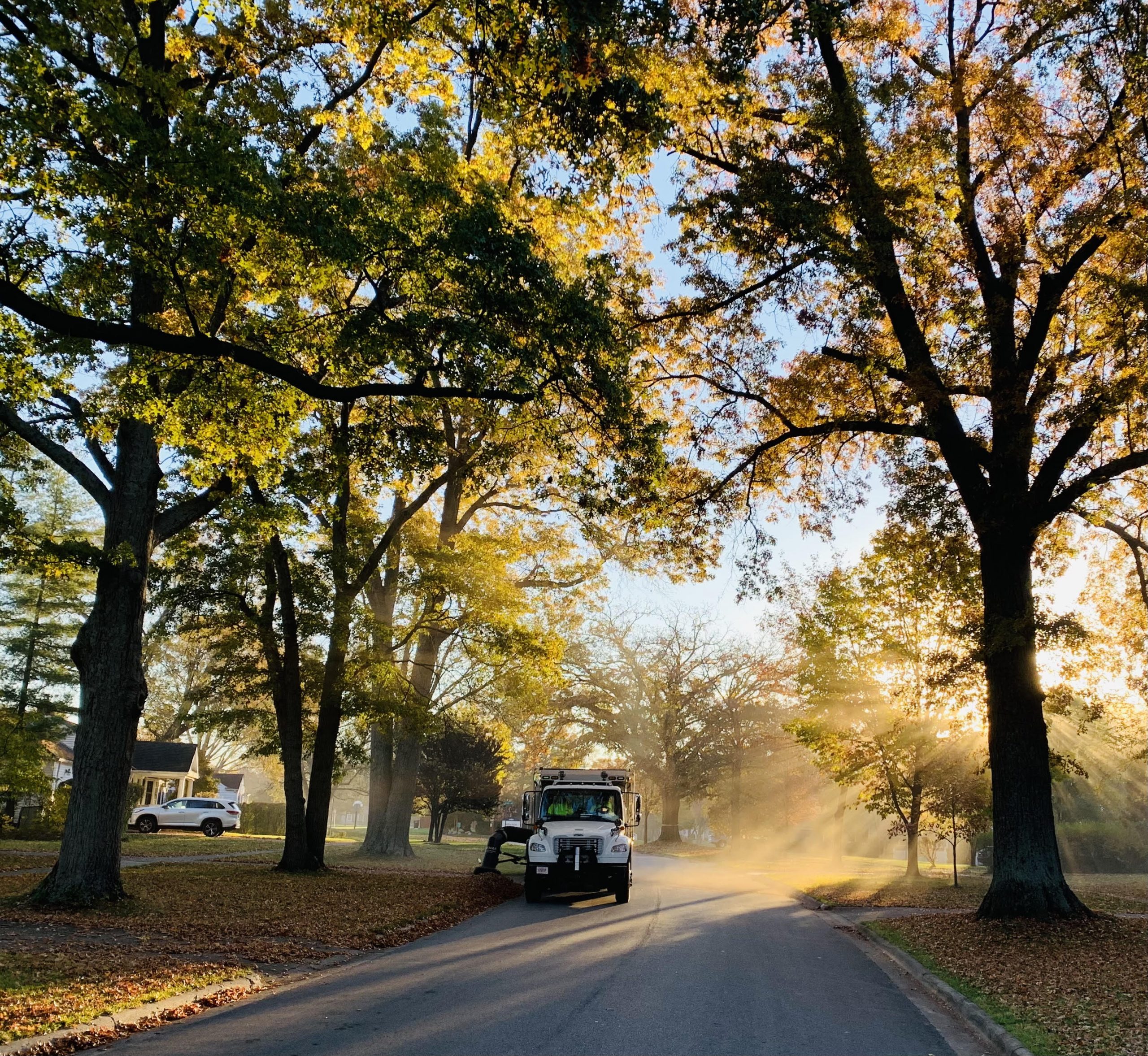 City Services at work amidst the glory of nature.